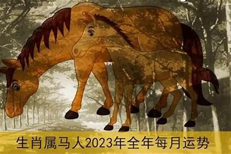 2023年属马的运势怎么样呀