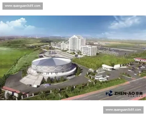 现代体育管理体系建设与职业化发展策略研究